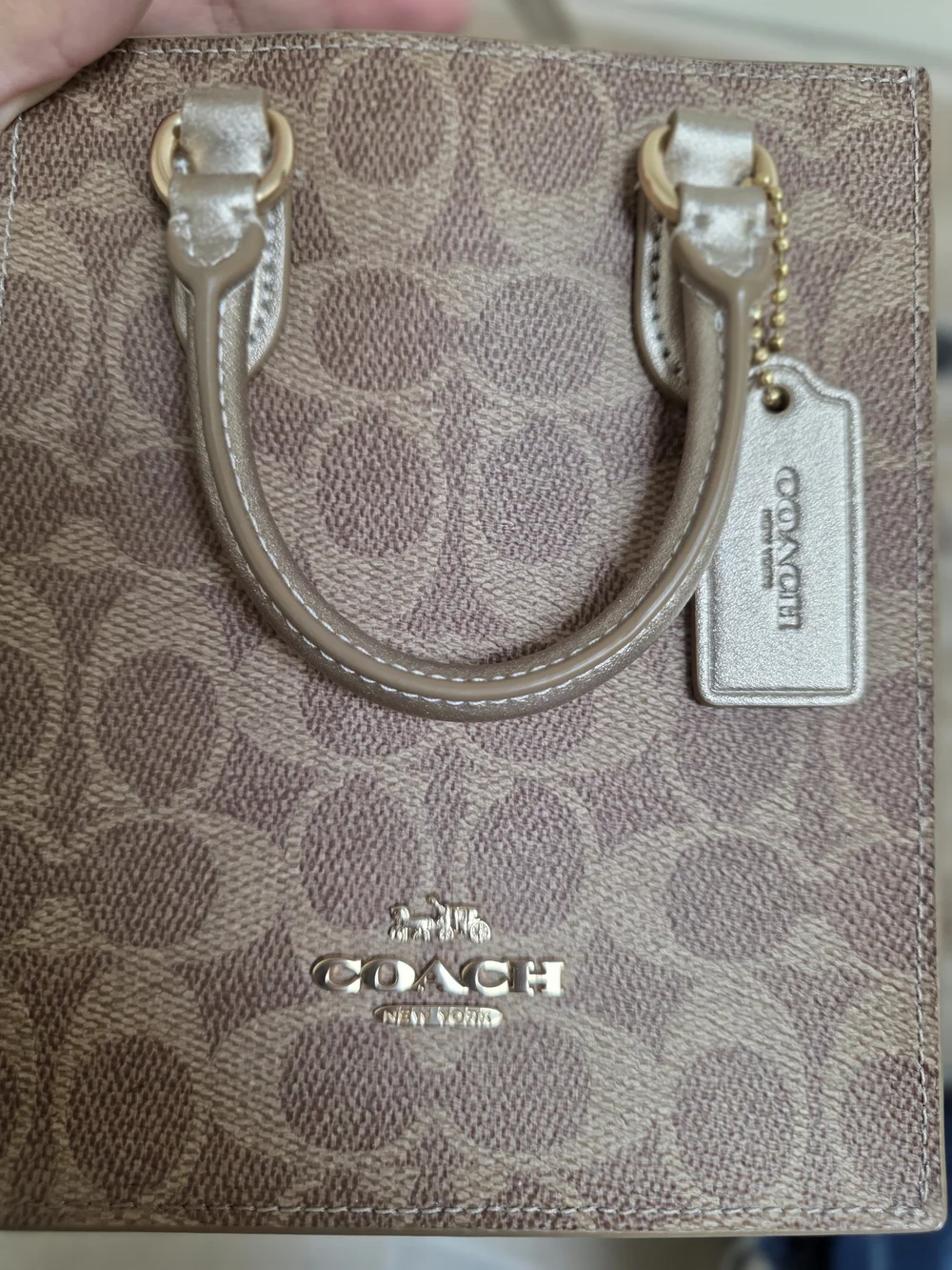 Coach Signature Small Tote Bag in Brown